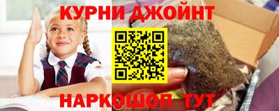 apvp Лесосибирск