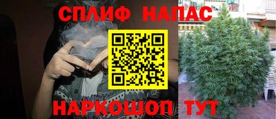 apvp Лесосибирск