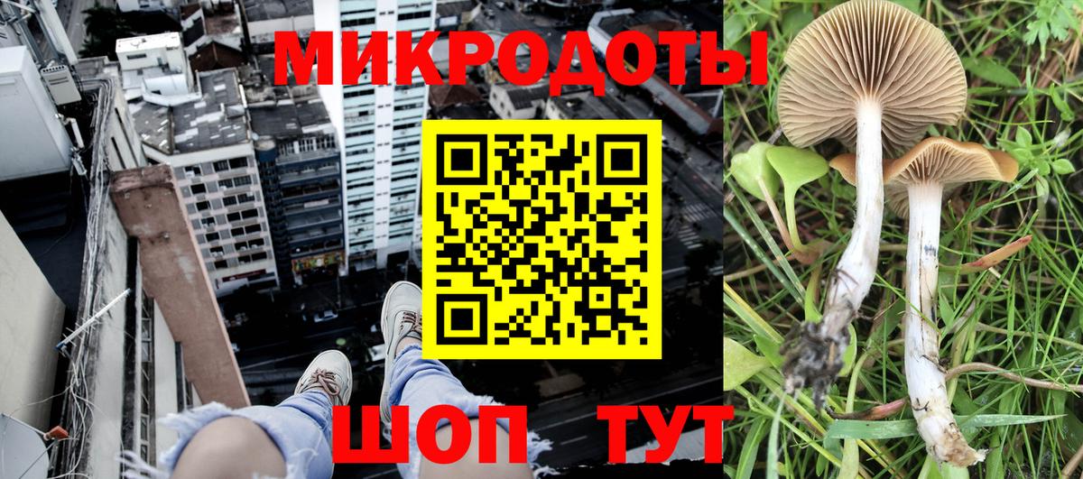 Галлюциногенные грибы мицелий  Псилоцибиновые грибы прущие грибы  Урус-Мартан  Вход с VPN 